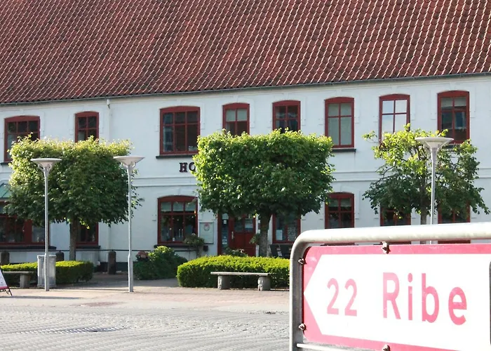 Hotel Hotel Rodding Rødding